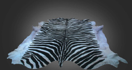 Ковер_Zebra printed cowhide_white cowhide_between 5 and 6m